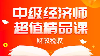 中級經(jīng)濟(jì)師超值精品課程 財政稅收全科